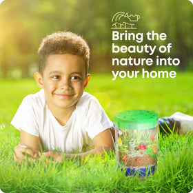 Dan&Darci chia seeds create gentle greenery accents