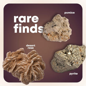 Dan&Darci collector pouch stores rocks and keeps specimens organized.