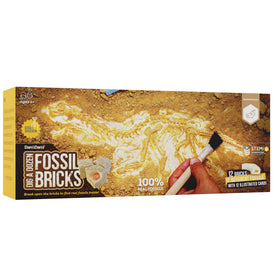 Dan&Darci fossil bricks exhibit dinosaur bones, coprolite and more