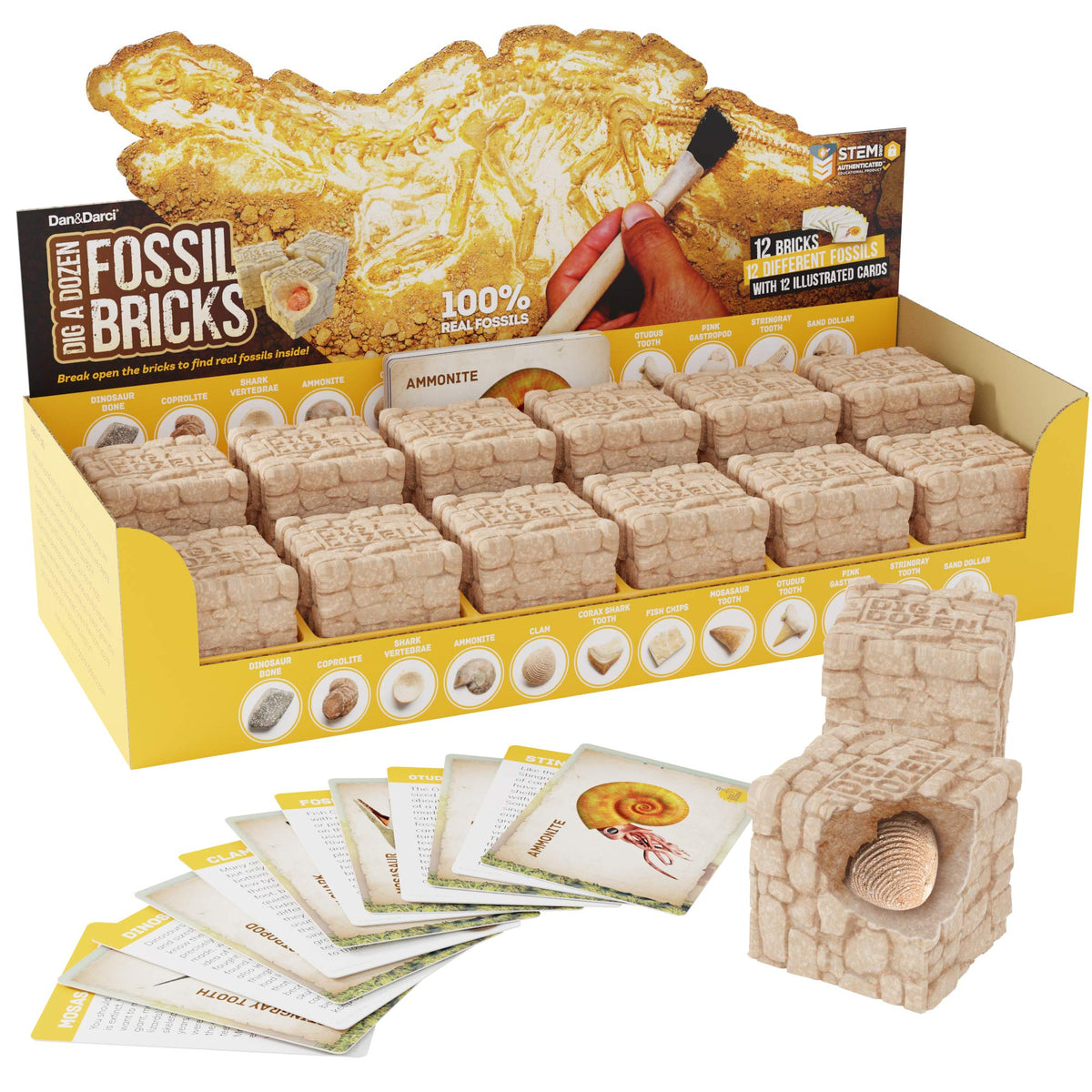 Dan&Darci fossil bricks excavation kit for hands-on discovery and learning