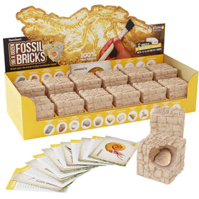 Dan&Darci fossil bricks excavation kit for hands-on discovery and learning