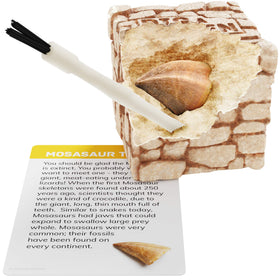 Dan&Darci fossil bricks chisels and brushes set for careful excavation