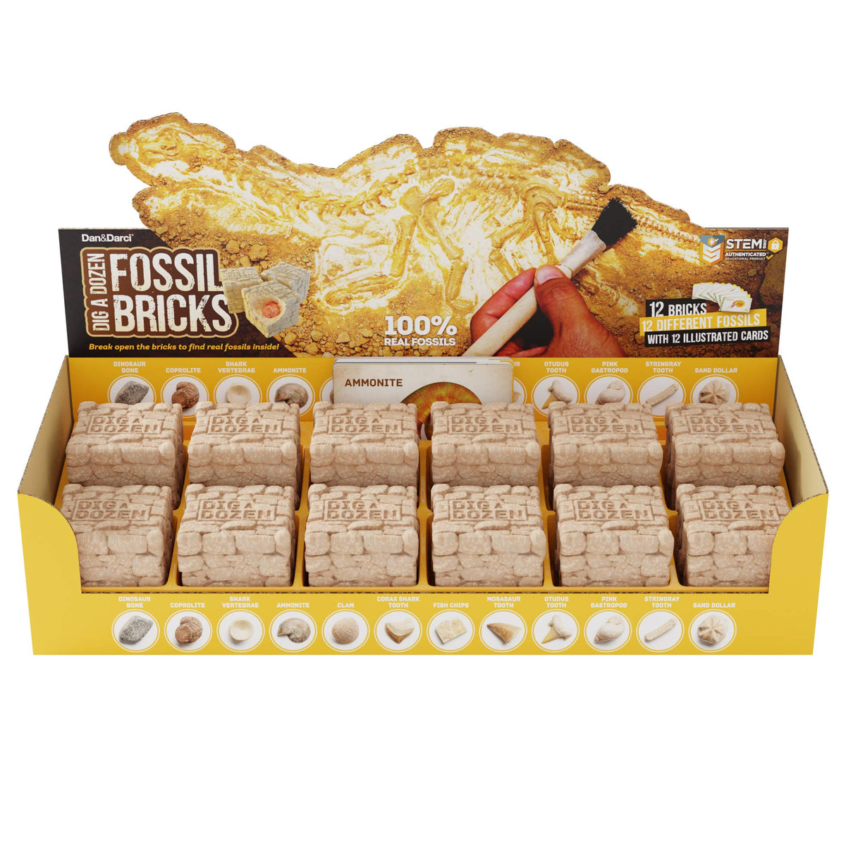 Dan&Darci fossil bricks science kit for curious minds at home