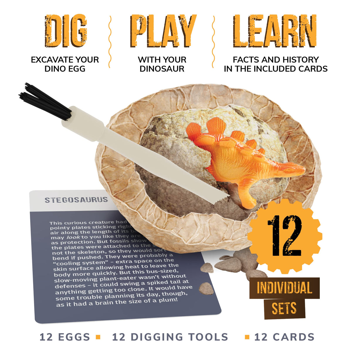 Dan & Darci Dino Egg Kit 12 eggs ready for excavation and discovery.