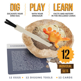 Dan & Darci Dino Egg Kit 12 eggs ready for excavation and discovery.