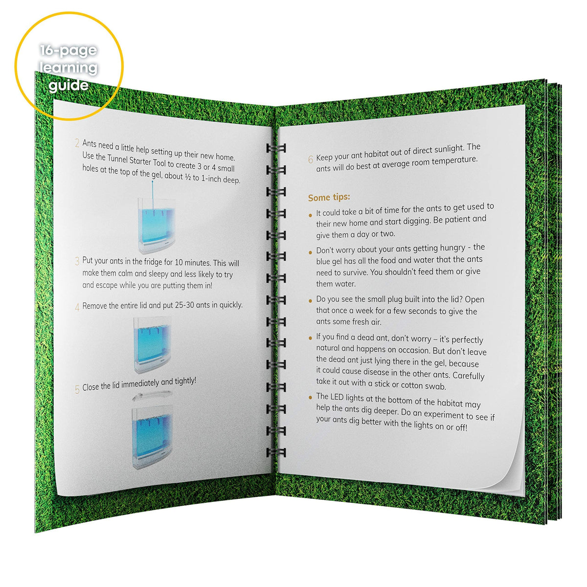 Dan&Darci gift-ready packaging makes a thoughtful surprise for curious minds.