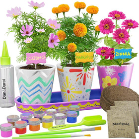 Dan&Darci paint and grow garden kit box enabling creative art and science activity for kids