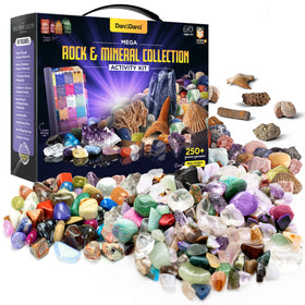 Dan&Darci rock collection kids bundle with 250+ specimens for hands-on learning.