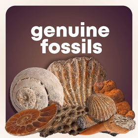 Dan&Darci rough minerals selection highlights natural formations and colors.