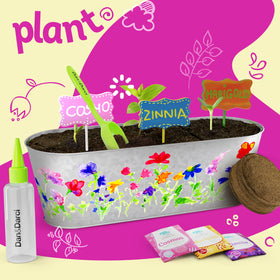 Dan&Darci seed packets for Marigold, Cosmos, and Zinnia spark curiosity about plant life.