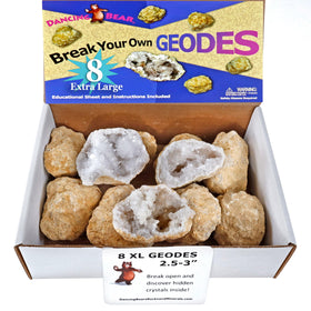 Dancing Bear 8XL geodes set ready to crack open for crystals and discovery at home