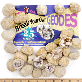 DANCING BEAR Break-Your-Own Geodes 25-box ready for discovery.