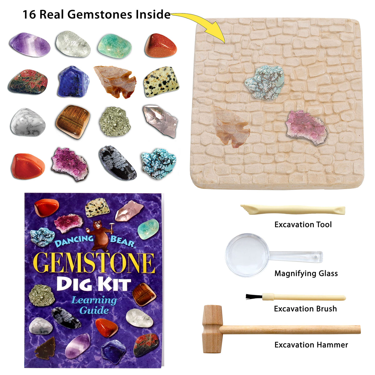 DANCING BEAR digging tools set for precise excavation and kid-friendly science activity