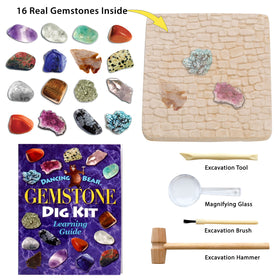 DANCING BEAR digging tools set for precise excavation and kid-friendly science activity