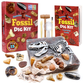 DANCING BEAR Fossil Dig Kit box-front for at-home paleontology exploration