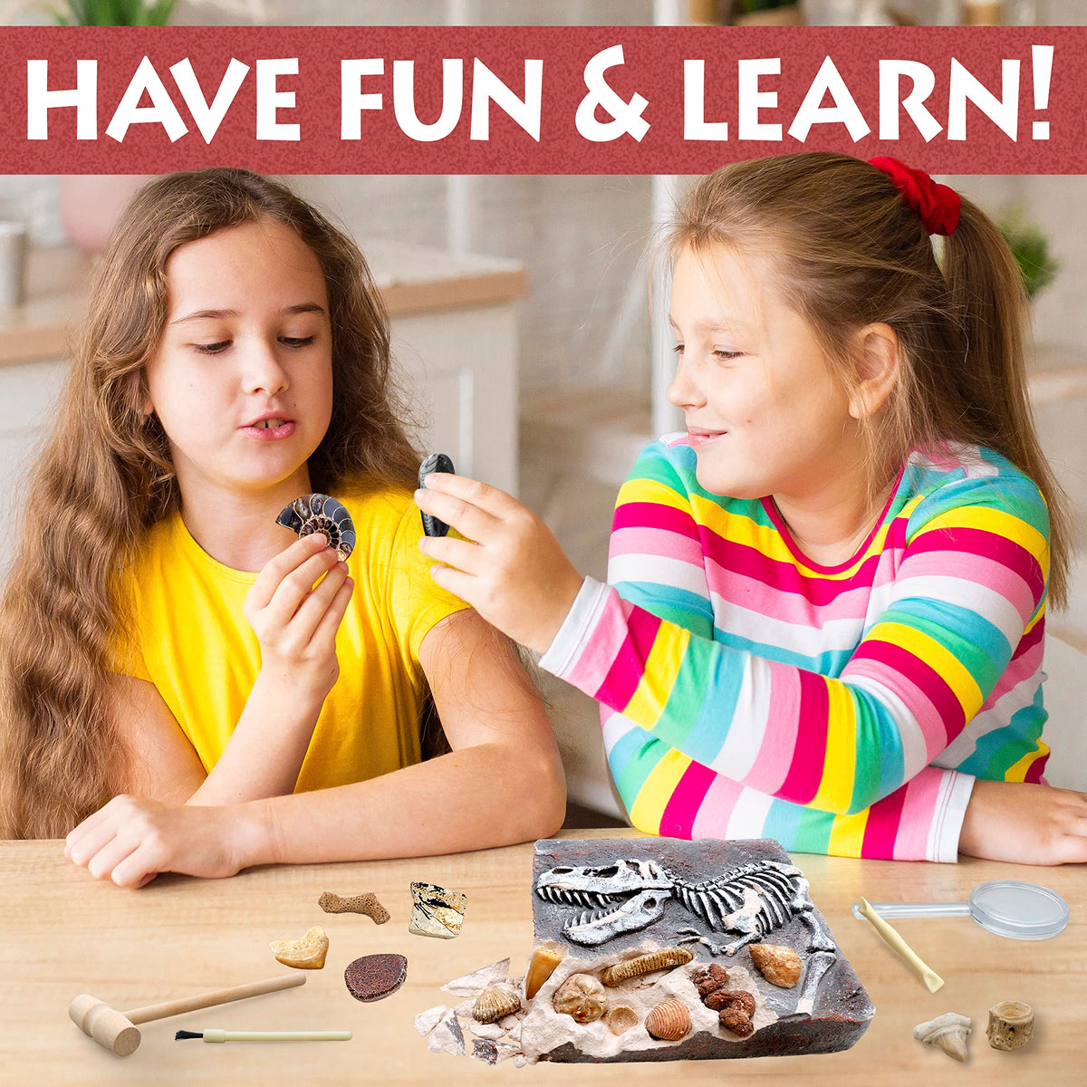DANCING BEAR Fossil Dig Kit dinosaur bones closeup, real-feel discovery sparks curiosity