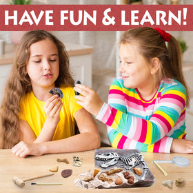 DANCING BEAR Fossil Dig Kit dinosaur bones closeup, real-feel discovery sparks curiosity