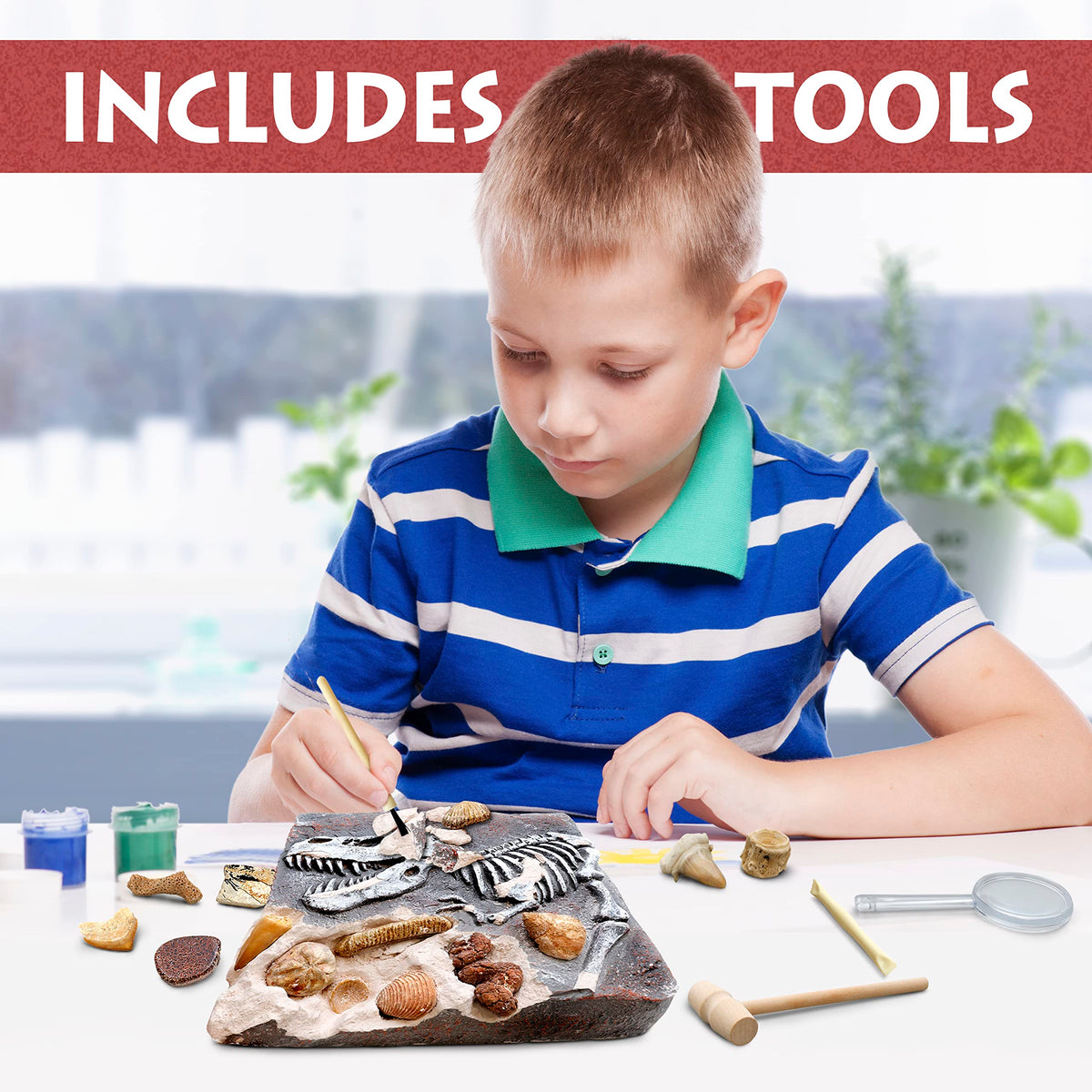 DANCING BEAR Fossil Dig Kit excavation scene, engaging kids in hands-on learning