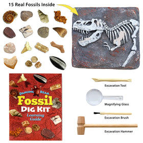 DANCING BEAR Fossil Dig Kit tools, enabling precise excavation and learning