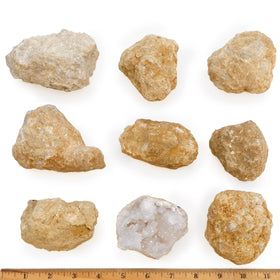 Dancing Bear geode open reveals crystals, ideal for hands-on STEM exploration