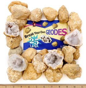 Dancing Bear geodes 25-pack outer shells invite hands-on science exploration at home.
