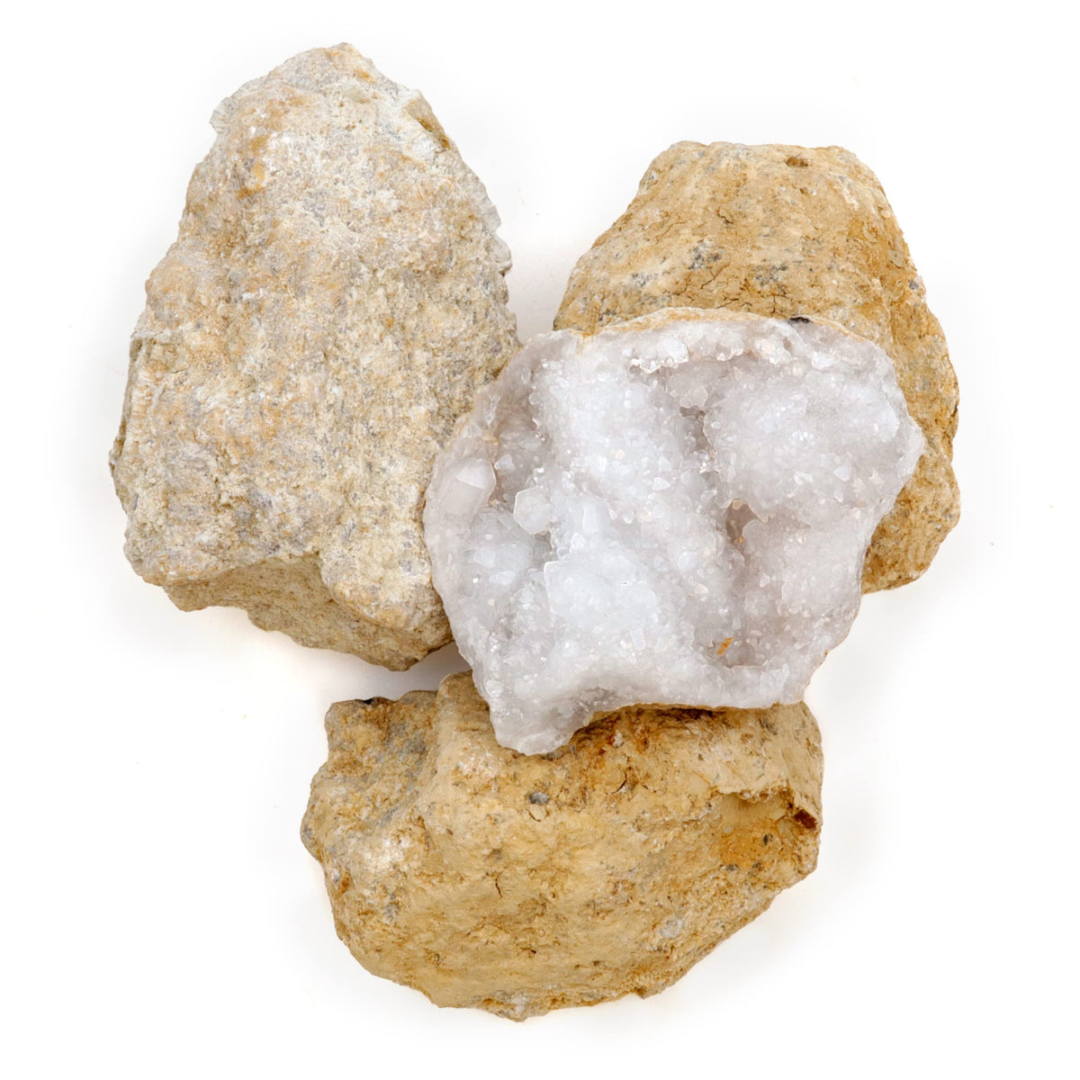Dancing Bear geodes classroom activity kit sparks hands-on engagement.