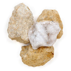 Dancing Bear geodes classroom activity kit sparks hands-on engagement.