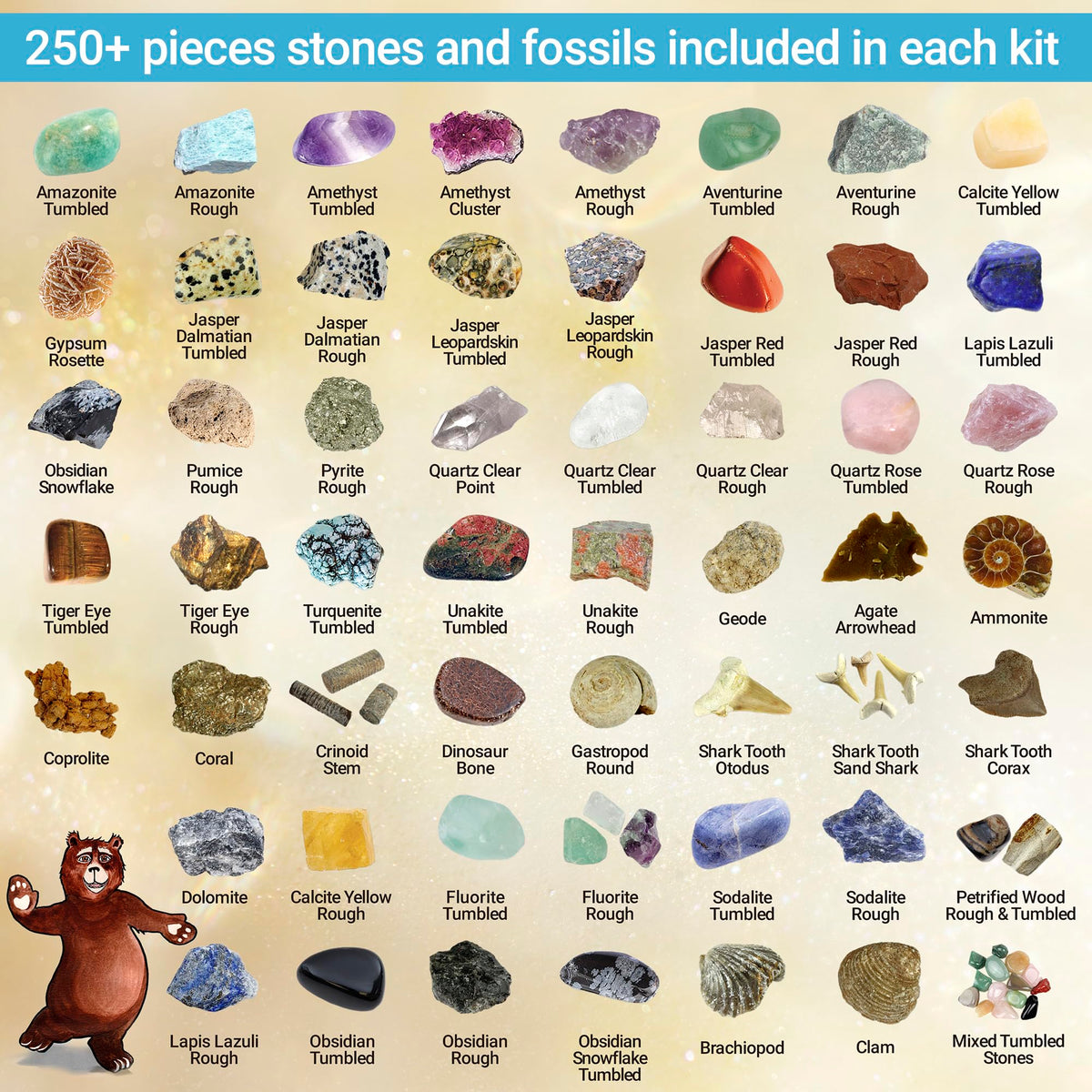 DANCING BEAR geodes with crystals revealed, perfect for tactile discovery and learning.