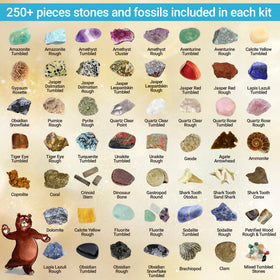 DANCING BEAR geodes with crystals revealed, perfect for tactile discovery and learning.
