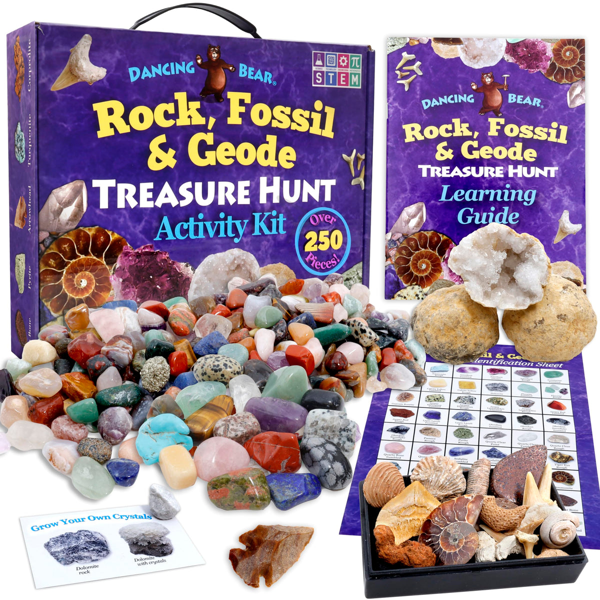 DANCING BEAR rock and mineral treasure kit opened, ideal for hands-on STEM exploration at home.