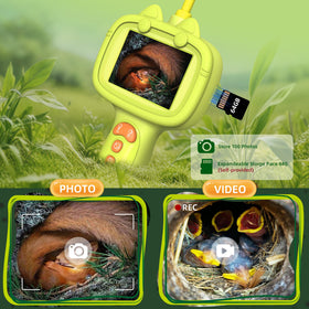 Daxiongmao borescope reveals ant tunnels and underground activity