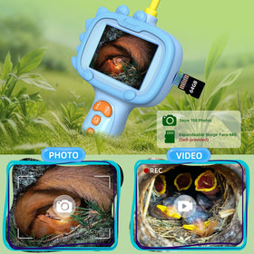 Nature micro-worlds explored with the Daxiongmao borescope in the field.
