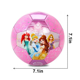 DECLIR ball designed for indoor and outdoor use on varied surfaces.