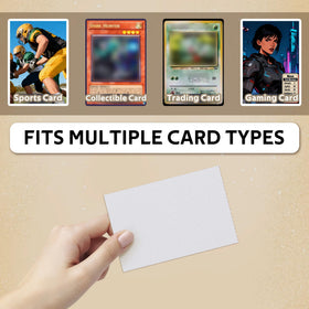 DEDC protector ideal for collectors and display organization