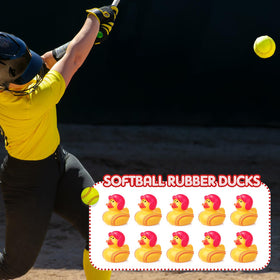 Deekin softball duck used as versatile decor and DIY craft accent.