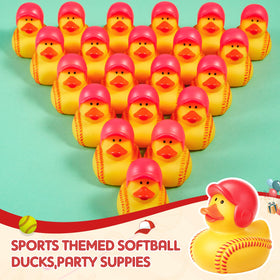Deekin softball duck on a desk display for desk décor ideas.