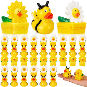 Deekin spring bee rubber duck bulk for party favors and dashboard decor.