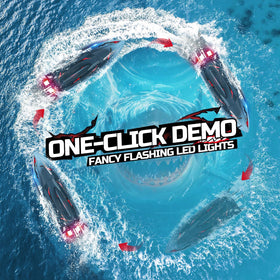 DEERC 2.4GHz anti-interference remote enables multiplayer races