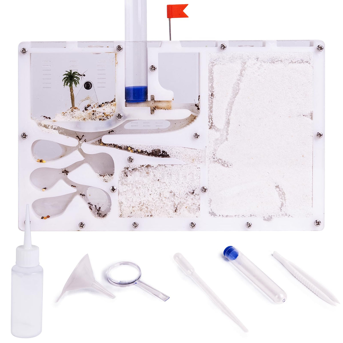 DigNew ant farming castle white exterior for observing tunnels and activity.