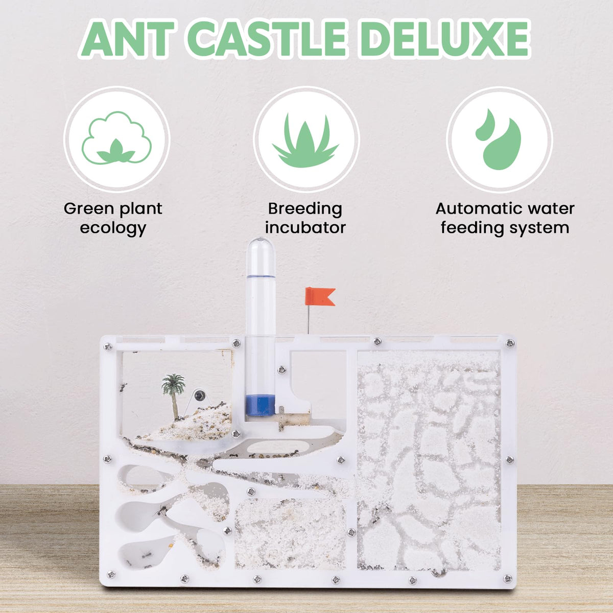 DigNew ant habitat castle inside layout shows nursery and feeding zones.