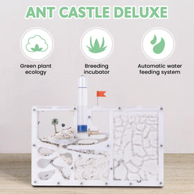 DigNew ant habitat castle inside layout shows nursery and feeding zones.