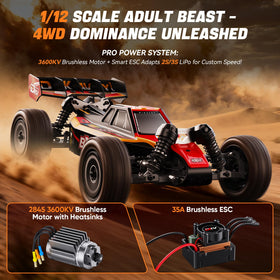 DIKAVEY 1/12 brushless RC car side view with sleek chassis