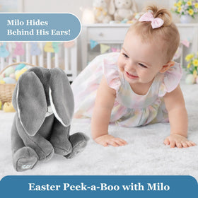 Dimple Milo secure battery compartment for safe changes