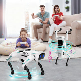 Dingdongwu Smart Robot Dog USB-C fast charging in action.