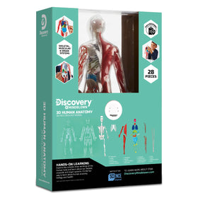 Discovery 3D anatomy kit glow parts for engaging glow-in-the-dark science demonstrations.