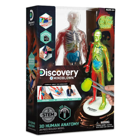 Discovery 3D anatomy kit skeleton base for easy assembly and durable classroom use.