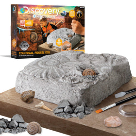 Discovery Colossal Fossil Dig Set brush for precise fossil uncovering and gentle cleaning