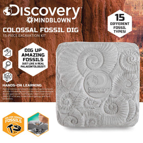 Discovery Colossal Fossil Dig Set real fossils hidden in bricks for hands-on learning