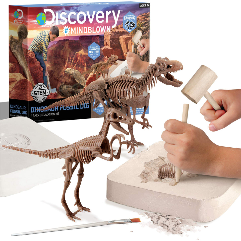 Discovery Dinosaur Dig Kit T-Rex skeleton being excavated for hands-on learning.
