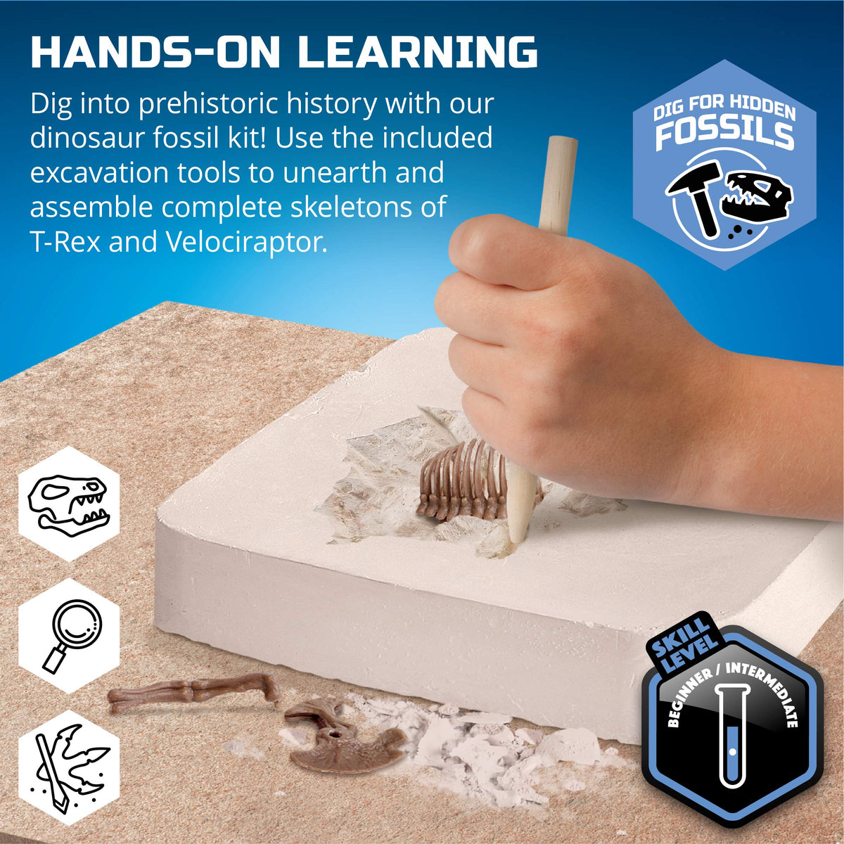Discovery Dinosaur Dig Kit included tools ready for a safe, authentic dig experience.
